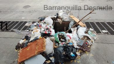 Cra. 54 calle 49 Diagona{ al Nodo del Sena (Barrio Abajo)