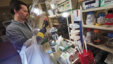 El médico Noah Palm, en su laboratorio de la Universidad de Yale, en Estados Unidos. © Universidad de Yale (EL PAÍS)